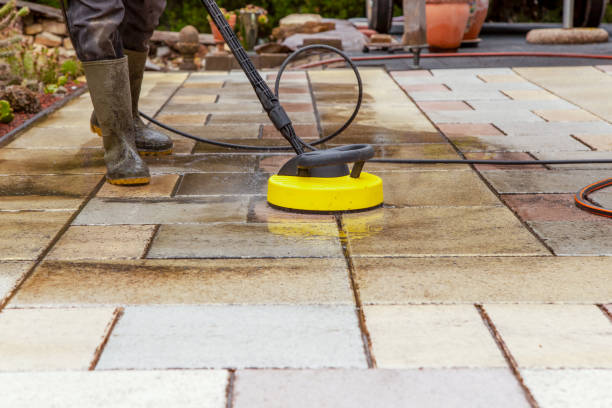 Best Building Exterior Washing  in Black Diamond, FL