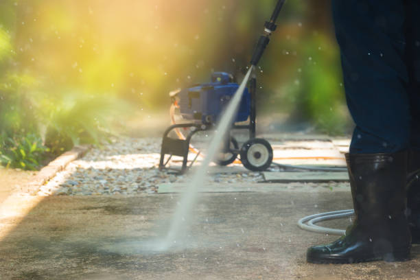 Best Boat and Dock Cleaning  in Black Diamond, FL